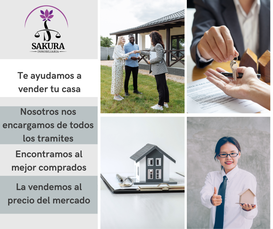 CÓmo Elegir El Mejor Agente De RaÍces Sakura Inmobiliaria 